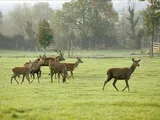 Badgworth Court, Badgworth, North West Somerset