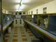 Boarding Cattery Boarding Cattery