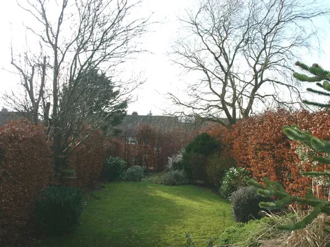 garden.jpg