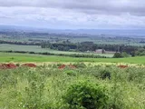 The Hardens, Duns, Berwickshire
