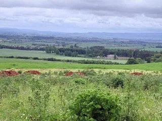 28704_LAU080097_IMG_00.jpg