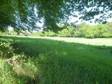 WIGGINTON