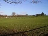 COLCHESTER, Essex