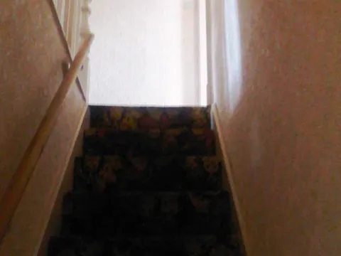 IMG01096-20110907-1427.jpg