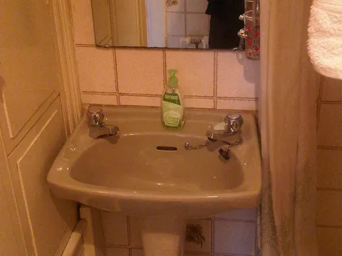 IMG01104-20110907-1429.jpg