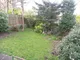 Image 3 Image 3