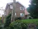 Image 15 Image 15