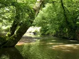 Hatherleigh, Okehampton, Devon