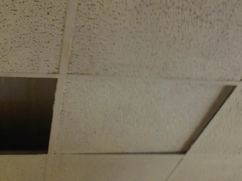Ceiling_Panels.jpg