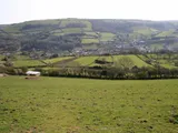 Shute Lane

