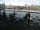 P1030927.jpg
