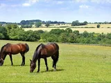Lidstone, Chipping Norton, Oxfordshire