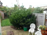 Cassell Road, Bristol, BS16 5DG, Bristol