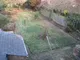 Image 10 Image 10
