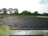 East View Malley Lane, Woodplumpton, Preston PR4