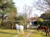 Pilley Green, Pilley, Lymington, Hampshire