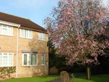 Plum Tree Close, Bridgwater TA6