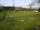 Garden Garden