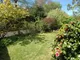 Garden Garden
