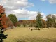 79826_600066168_IMG_11.jpg