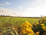 Worthing, West Sussex