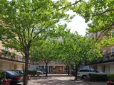Chelsea Harbour, Chelsea