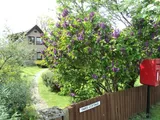 Dereham Road, Easton, NR9