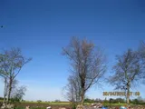 Plot , Hermitage Gardens, Doddington, Cambridgeshire