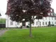 Image 12 Image 12