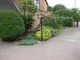 Image 16 Image 16