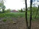 Wood1 Wood1