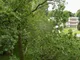 10455_87A-116S0YQE_IMG_05.jpg