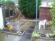 Image 10 Image 10