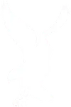 Hawkins logo